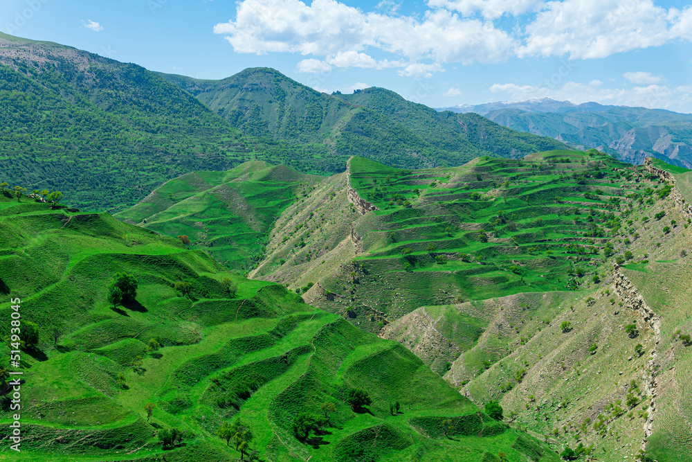 terraced farmland on the mountain slopes in Dagestan terraced farmland on the mountain slopes in Dagestan