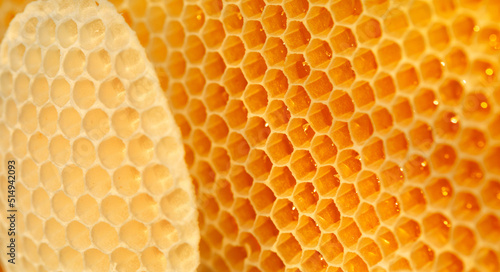 Empty fresh honeycombs. Abstract natural background. close up