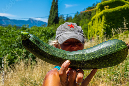 Female Gardener in the Garden tending to her vegetables during springtime - Raised bed gardening photo