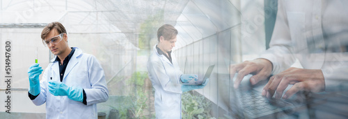 Scientist examining a plants in greenhouse farm. scientists holding equipment for research plant in organic farm, banner cover design.