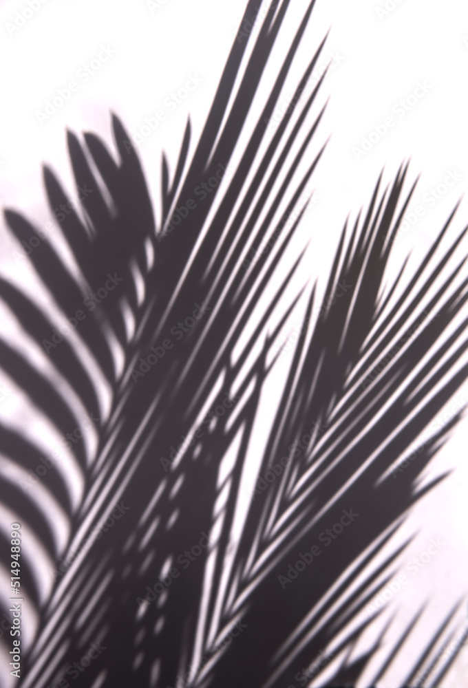 Obraz premium Background with a shadow from a palm leaf.