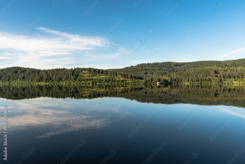Morning atmosphere at lake Schluchsee in the Black Forest, trees reflect in the calm water of the lake, Baden-Wuerttemberg, Germany