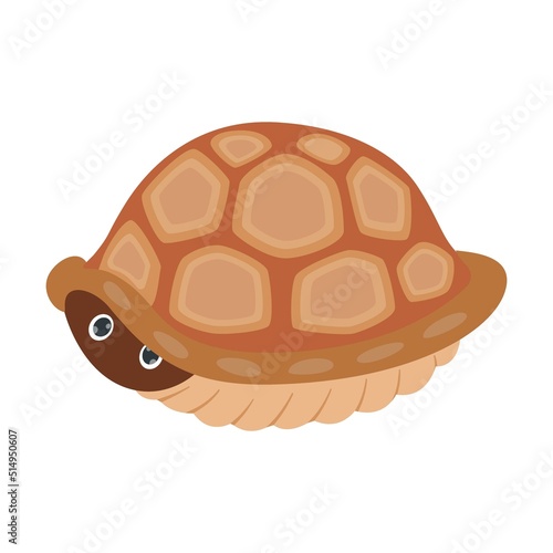 Cute funny tortoise cartoon character sleeping, hiding in shell, hatching. Vector illustrations for nature. Green baby turtle