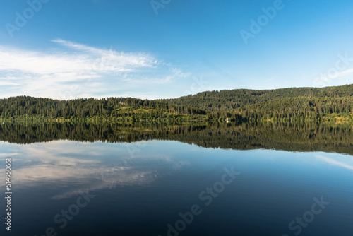 Morning atmosphere at lake Schluchsee in the Black Forest, trees reflect in the calm water of the lake, Baden-Wuerttemberg, Germany
