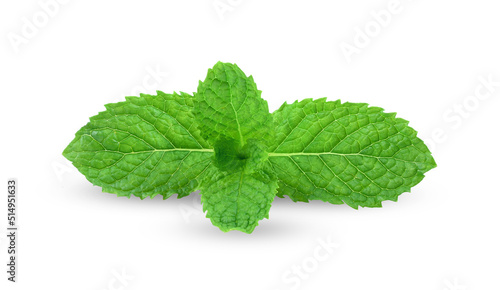 Mint leaes isolated on alpha layer