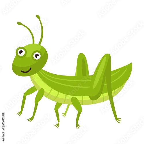 Funny smiling grasshopper flat icon. Cartoon cute caterpillar, fly, beetle, butterfly, snail, spider isolated vector illustration. Nature and insect