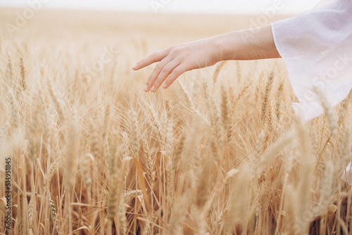 woman  summer  nature  agriculture  hand  grain