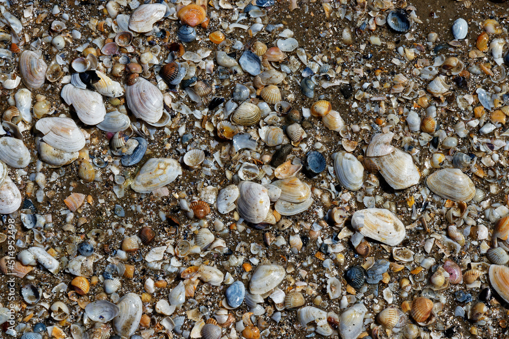 pebbles on the beach