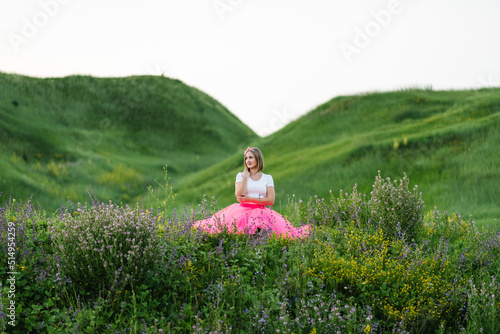 Wallpaper Mural The girl in a flower field in a country. Princess in a summer pink dress sits on the green grass. Torontodigital.ca