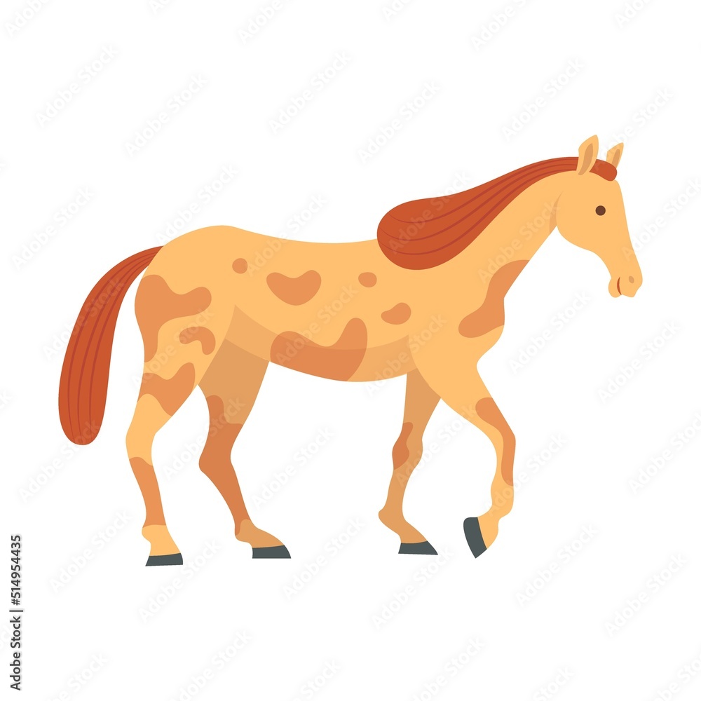 Obraz premium Spotted horse standing. Breed of horse flat vector illustration. Colorful domestic animals and running isolated on white