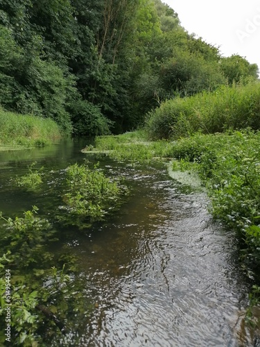 river in the woods