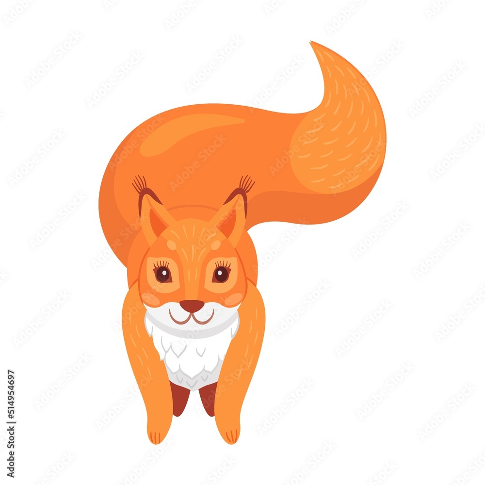 Fototapeta premium Fluffy cartoon animal with furry tail holding nut, jumping, moving. Cute red squirrel. Flat vector illustrations for wildlife, mammals, forest fauna