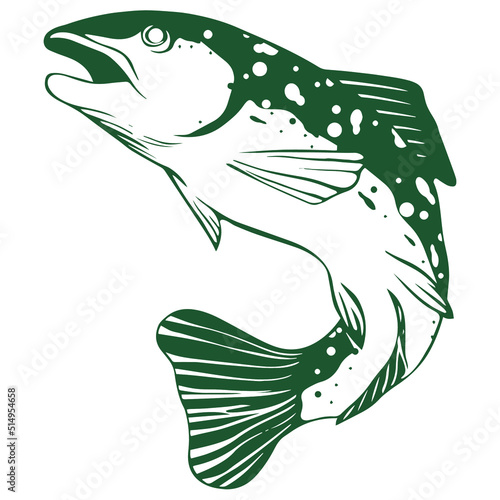 leaping trout fish illustration