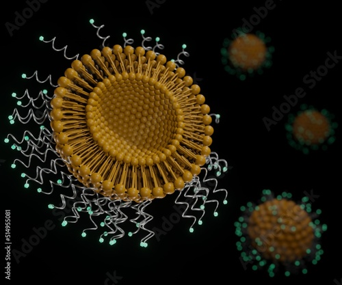 The attachment of specific antibodies to the surface of the liposomes makes them able to bind to cells and to subsequently be internalised by the cells. Protein conjugated liposome photo