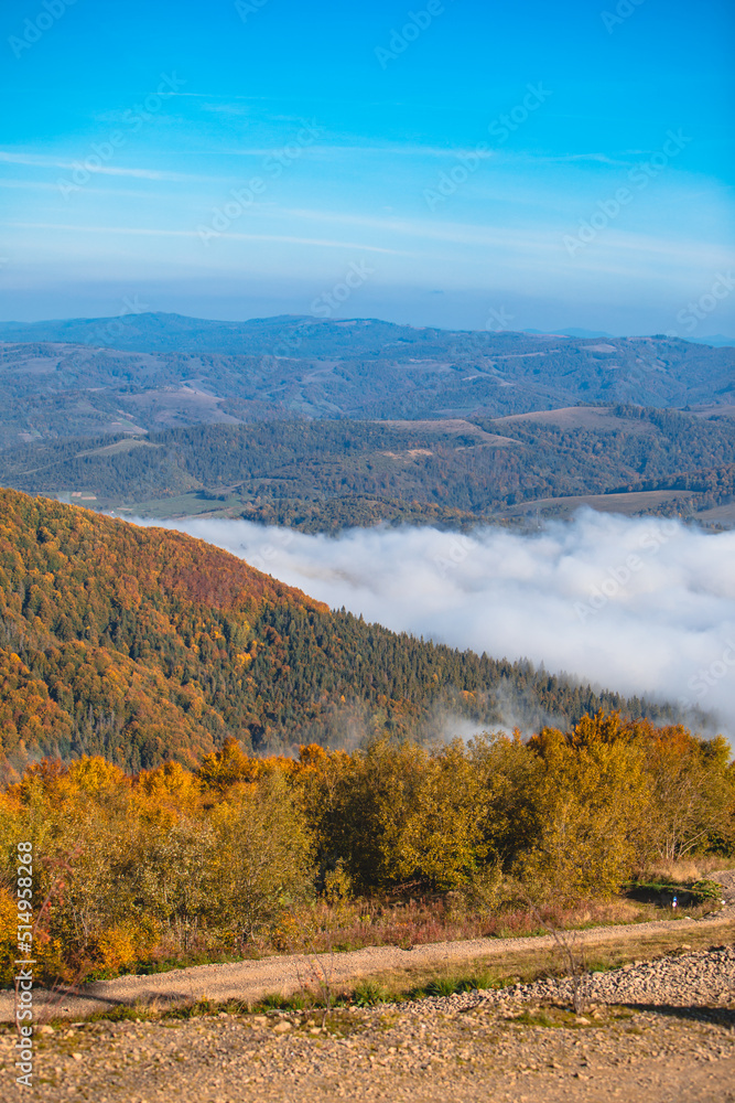 landscape view of autumn carpathian mountains