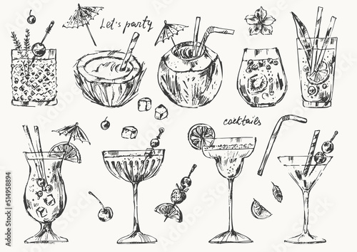 Alcoholic cocktails set with fruits, ice