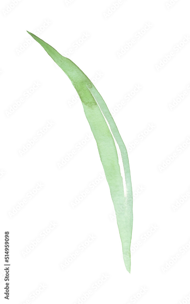 Watercolor leaf Watercolor leaf