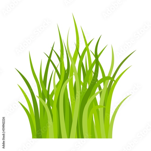 Grass flat icon. Leaf borders  flower elements  nature background vector illustration. Green land concept for template design