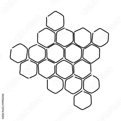 propolis honeycomb sketch. hand drawn honey comb. Black and white image bee wax. Bee honey and propolis doodle vector.