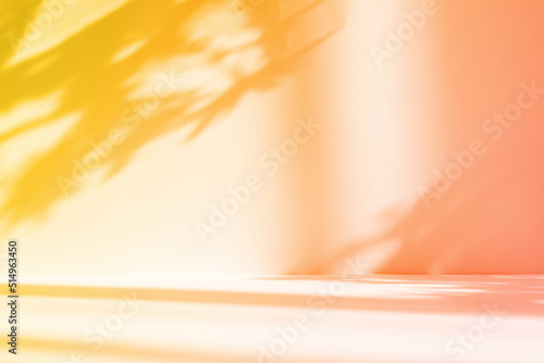 Abstract gradient orange studio background for product presentation. Empty room with shadows of window and flowers and palm leaves . 3d room with copy space. Summer concert. Blurred backdrop. photo
