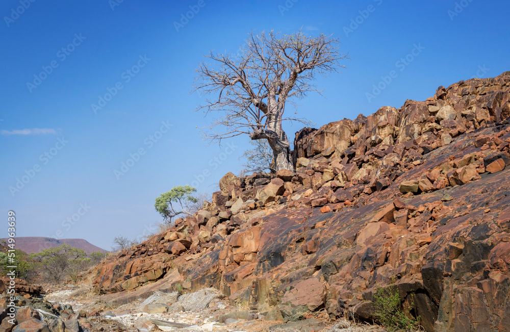 Rugged granite rocks with red colors and tree, Damaraland, Kunene, Namibia.