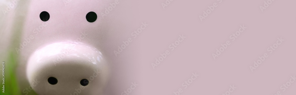 Pink Piggy bank close up. World crisis concept. Banner Pink Piggy bank close up. World crisis concept. Banner