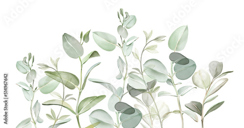 Watercolor branches border. Hand painted green realistic eucalyptus branches. Abstract botanical illustrations isolated on white