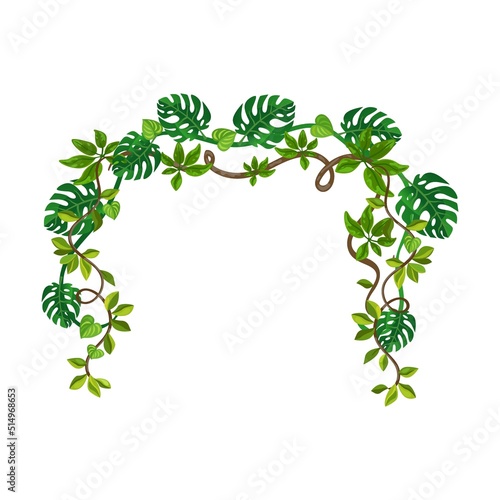 Jungle frame. Green frame shaped lianas, tropical plant branches with leaves, space for text or sign with borders. Isolated vector illustration for forest