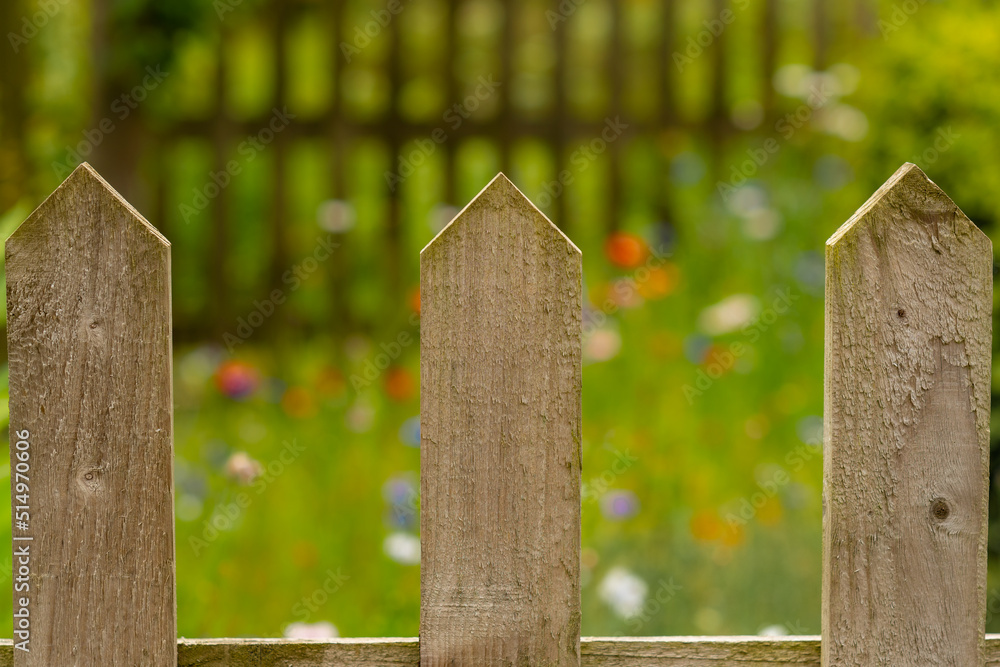 Fototapeta premium summer flowers blurred behind fence
