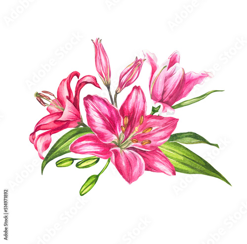 Lilies. Watercolor botanical illustration. Flower composition