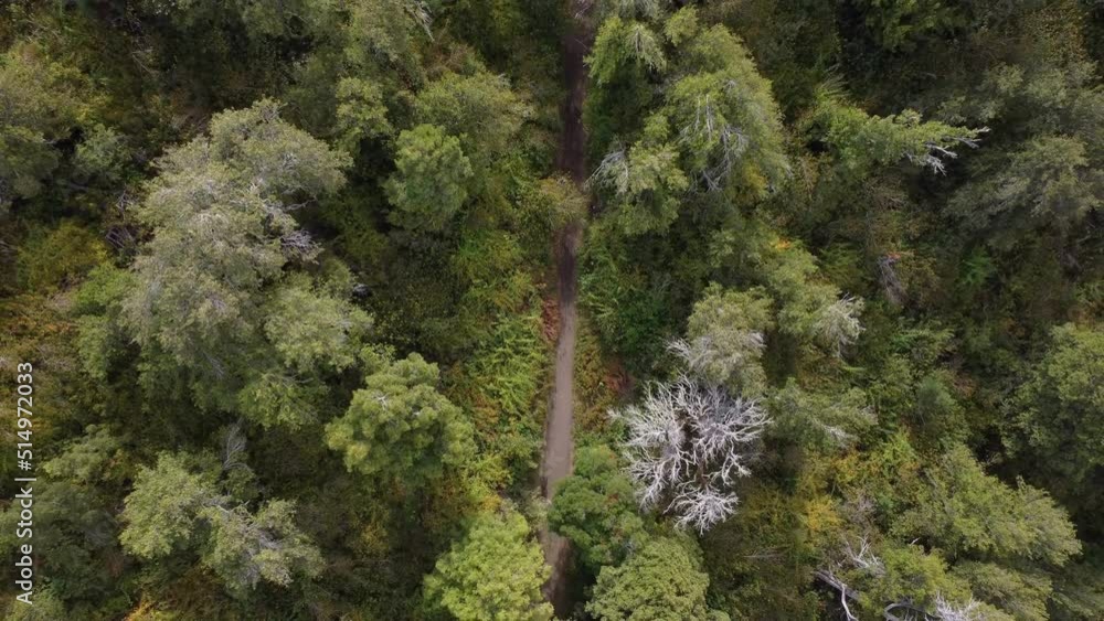Beautiful Pull Up Overhead Drone Shot Over Arrayanes Forest, Patagonia, Argentina. Beautiful Pull Up Overhead Drone Shot Over Arrayanes Forest, Patagonia, Argentina.