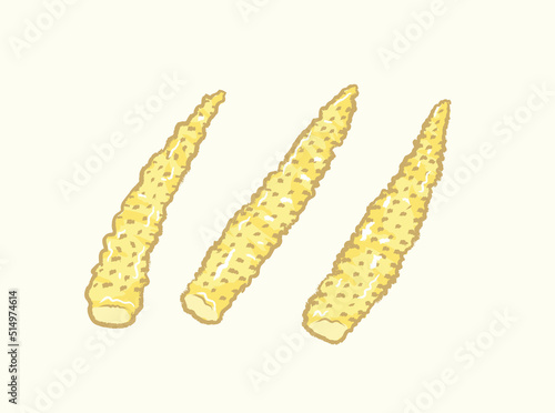 Yellow cute baby corns in flat vector illustration art design