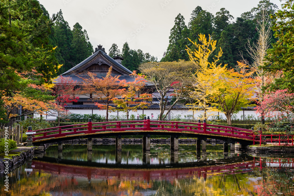 Fototapeta premium 高野山(和歌山県高野町)の紅葉