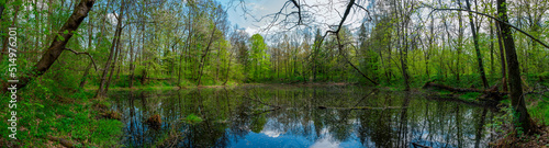 Panorama of forest lakes in spring  young leaves and freshly blossomed buds of trees and shrubs