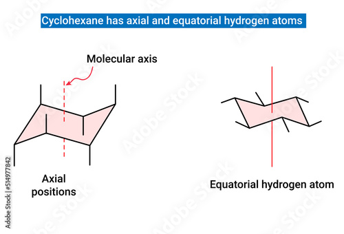 Cyclohexane has axial and equatorial hydrogen atoms