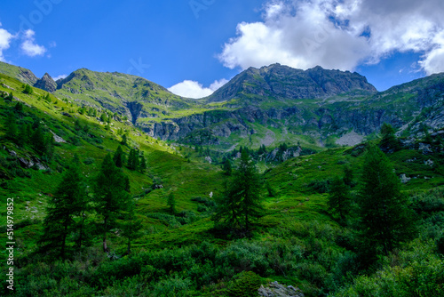 Panorama Alp de Trescolmen  Mesocco  Svizzera