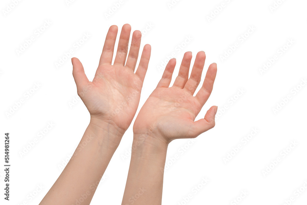 Woman hand isolated on a white background. Woman hand isolated on a white background.
