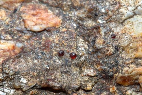 Natural rough pyrope garnet embedded on rock matrix that contain mica, muscovite, quartz, feldspar mineral, etc