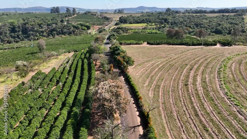 Farm land rustic countryside scenic aerial landscape. Rural life scenery. Agriculture field environment. Farmland rural landscape. Farming scenery. Harvest time at rural life. photo