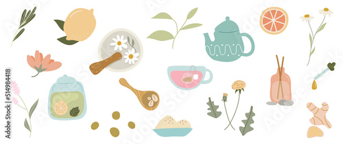 Homeopathy and nature beauty skin vector element. Flower, herbs and skincare packaging  hand drawn doodle design for banner, ads, logo and packaging design.