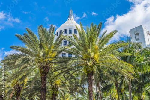 Palm Trees Art Deco Buildings Miami Beach Florida