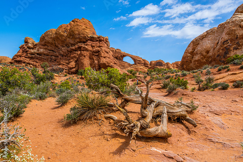 Fotografiet Skyline Arch in Arches National Park