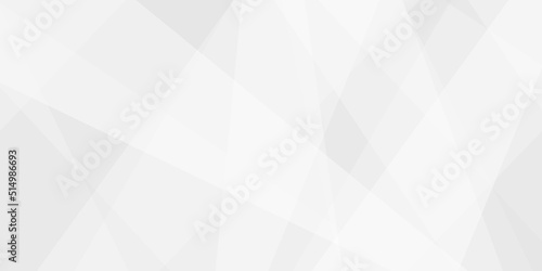 Abstract background with gray background with texture, white abstract modern background. Geometry shine and layer element vector for presentation design. Decorative web layout or poster, banner.design