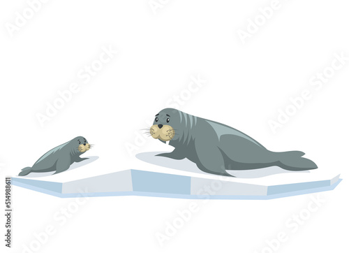 Cute seals family cartoon character design. Small and big gray sea lion lie together on ice. Harp seal pup. Sea ocean water. Mother and baby family. Mammal living in arctic floating on broken ice floe