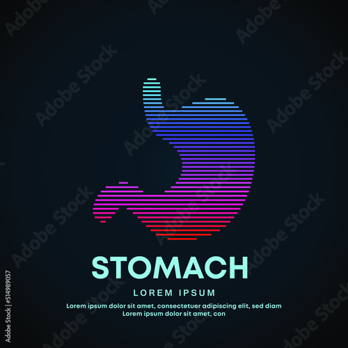 Human stomach medical structure. Vector logo stomach color silhouette on a dark background. EPS 10