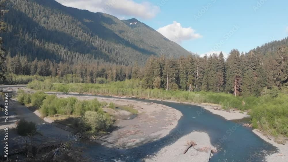 Forward drone shot of Washington rainforest Hoh. Forward drone shot of Washington rainforest Hoh.