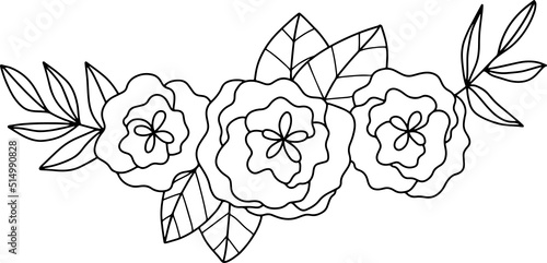 collection forest fern eucalyptus art foliage natural
leaves herbs inline style. Decorative beauty, elegant illustration 
Vector Flower Botanical