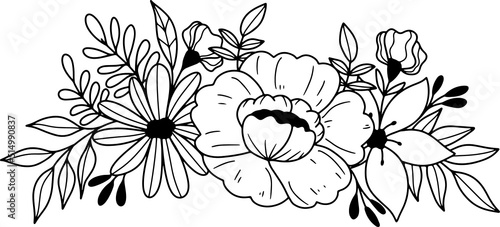 collection forest fern eucalyptus art foliage natural
leaves herbs inline style. Decorative beauty, elegant illustration 
Vector Flower Botanical