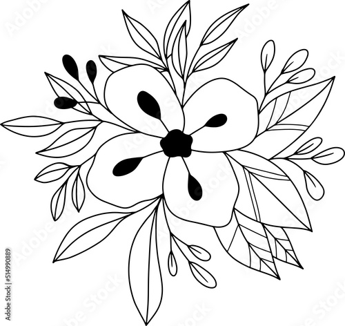 collection forest fern eucalyptus art foliage natural
leaves herbs inline style. Decorative beauty, elegant illustration 
Vector Flower Botanical