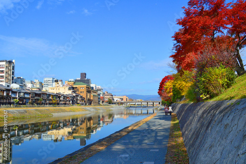 秋晴れの京都市鴨川遊歩道の紅葉が美しい